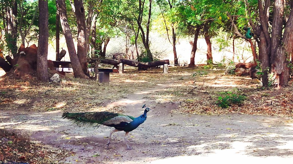 Pelican View Chalet Kataragama